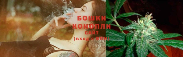 ПСИЛОЦИБИНОВЫЕ ГРИБЫ Армянск