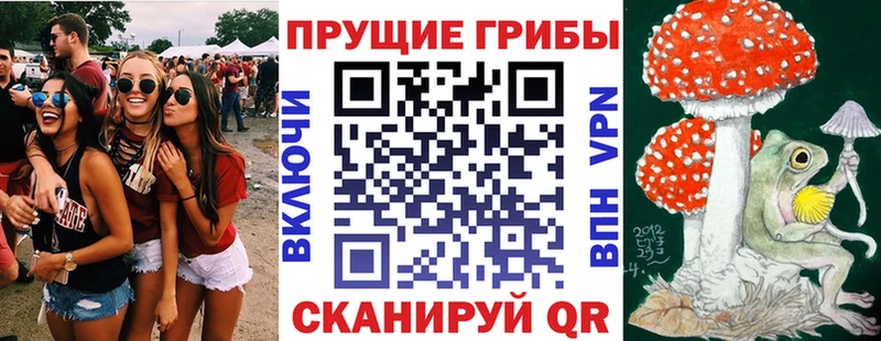 Галлюциногенные грибы GOLDEN TEACHER  Купить закладки  Нелидово 